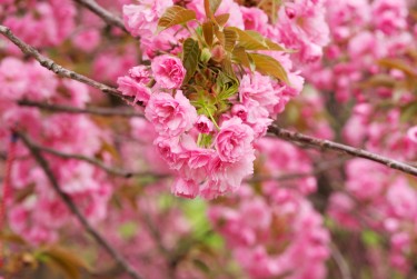 温州苍南6线下个人借款平台一站式服务，轻松解决资金难题