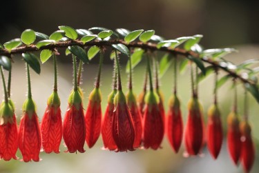 温州苍南6零用贷短借：轻松解决临时资金需求