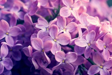 温州苍南6企业急用钱贷款攻略：快速融资解燃眉之急